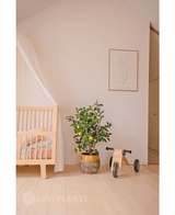 Artificial plant lemon tree 90 cm - Easyplants Artificial Plants & Flowers