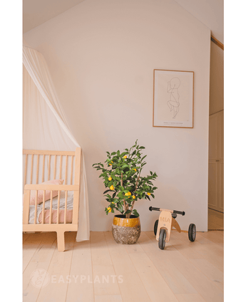Artificial plant lemon tree 90 cm - Easyplants Artificial Plants & Flowers