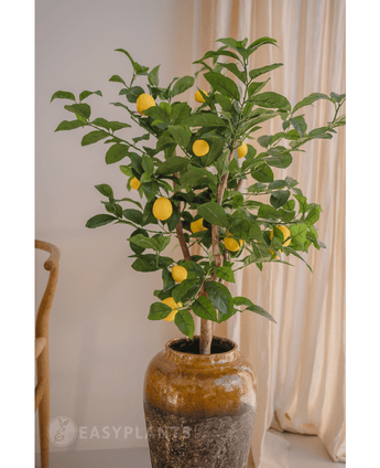 Artificial plant lemon tree 90 cm - Easyplants Artificial Plants & Flowers