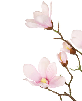 De Kunstmagnoliatak Real Touch Roze 98cm heeft delicate lichtroze magnolia bloemen en knoppen op een tak, tegen een witte achtergrond.