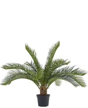 Artificial palm baby cycus 45 cm - Easyplants Artificial Plants & Flowers
