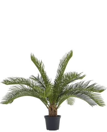 Artificial palm baby cycus 45 cm - Easyplants Artificial Plants & Flowers
