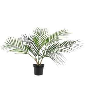 Artificial palm Chamaedorea 48 cm - Easyplants Artificial Plants & Flowers