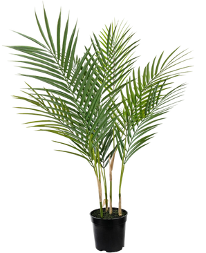 Artificial palm Chamaedorea 71 cm - Easyplants Artificial Plants & Flowers