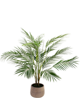 Artificial palm Chamaedorea 83 cm - Easyplants Artificial Plants & Flowers
