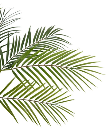 Close-up van Kunstpalm Chamaedorea 83 cm met groene, slanke bladeren tegen een witte achtergrond, waardoor een natuurlijke en tropische look ontstaat.