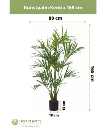 De Kunstpalm Kentia 165 cm is een kunstpalm van 165 cm hoog en 80 cm breed, geplaatst in een zwarte pot van 18x15 cm. Het Easyplants logo is zichtbaar aan de onderkant van de afbeelding.