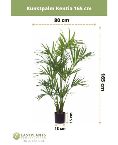 De Kunstpalm Kentia 165 cm is een kunstpalm van 165 cm hoog en 80 cm breed, geplaatst in een zwarte pot van 18x15 cm. Het Easyplants logo is zichtbaar aan de onderkant van de afbeelding.