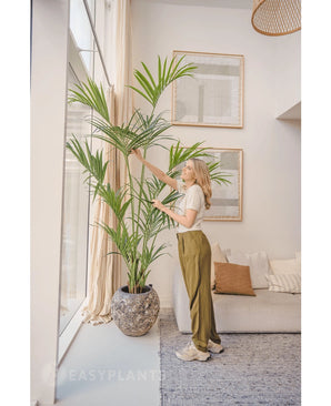 In een lichte woonkamer staat een vrouw naast de Kunstpalm Kentia 220 cm, terwijl ze zachtjes de bladeren aanraakt. Het tropische interieur heeft een lichte bank met kussens, ingelijste muurkunst en grote ramen die natuurlijk licht binnenlaten.