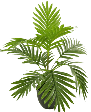 Artificial Palm Phoenix 50 cm in Sierpot Black - Easyplants Artificial Plants & Flowers