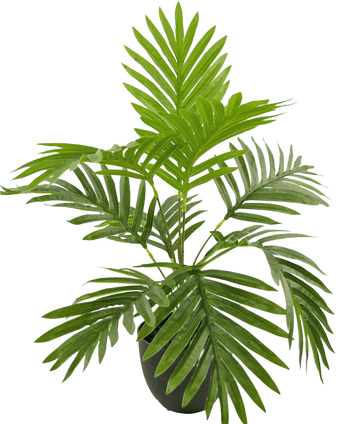 Artificial Palm Phoenix 50 cm in Sierpot Black - Easyplants Artificial Plants & Flowers