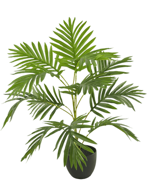 Artificial palm Phoenix 65 cm in Sierpot Black - Easyplants Artificial Plants & Flowers