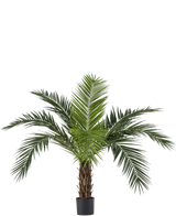 Artificial palm Phoenix Canarie 160 cm - Easyplants Artificial Plants & Flowers