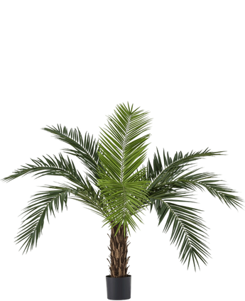 Artificial palm Phoenix Canarie 160 cm - Easyplants Artificial Plants & Flowers