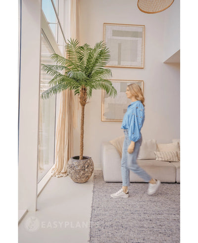 A woman in a blue blouse and jeans walks past the Kunstpalm Phoenix De Luxe 210 cm near a large window in a bright, modern living room with beige walls, a sofa and framed art on the wall.