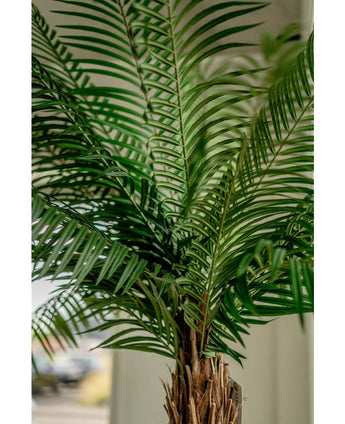 Close-up of the Artificial Palm Phoenix De Luxe 210 cm, with long, narrow green leaves and a brown trunk with texture, against a softly blurred background.