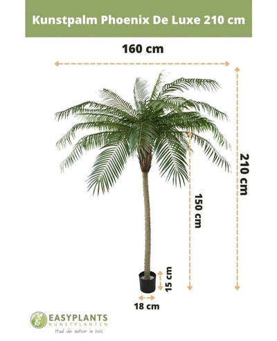 Artificial palm Phoenix De Luxe 210 cm: artificial palm, max width 160 cm, trunk height 150 cm, pot size H15xØ18 cm. Branding and Dutch text are visible.