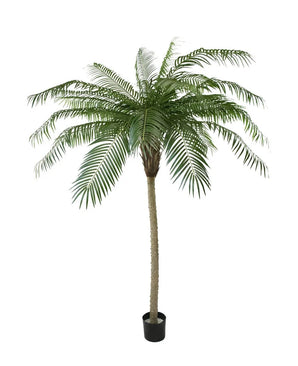 Artificial Palm Phoenix de Luxe 210 cm