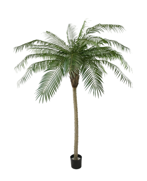 Kunstpalm Phoenix de Luxe 210 cm