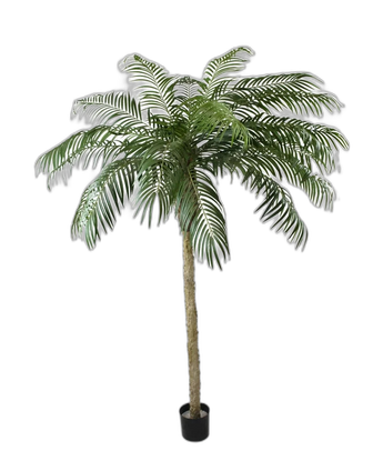 Kunstpalm Phoenix De Luxe 250 cm