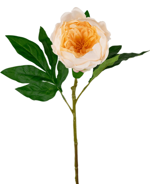 Artificial Pair Real Touch Cream White 58cm - Easyplants Artificial Plants & Flowers
