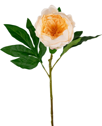 Artificial Pair Real Touch Cream White 58cm - Easyplants Artificial Plants & Flowers
