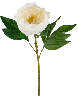 Artificial Pair Real Touch White 58cm - Easyplants Artificial Plants & Flowers
