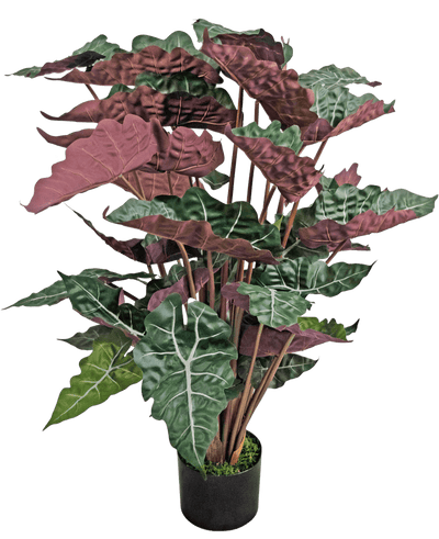 De Kunstplant Alocasia 100 cm groen/rood heeft grote, donkergroene bladeren met prominente witte nerven en roodpaarse onderkanten, gepresenteerd in een zwarte pot.