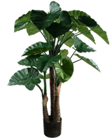 Artificial plant Alocasia 150 cm - Easyplants Artificial Plants & Flowers