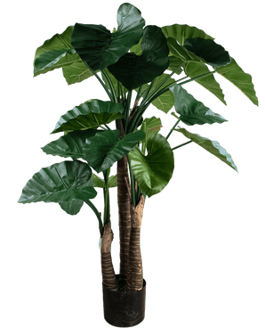 Artificial plant Alocasia 150 cm - Easyplants Artificial Plants & Flowers
