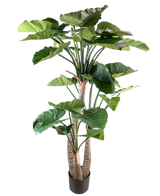 Artificial plant Alocasia 180 cm - Easyplants Artificial Plants & Flowers