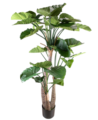 Artificial plant Alocasia 180 cm - Easyplants Artificial Plants & Flowers