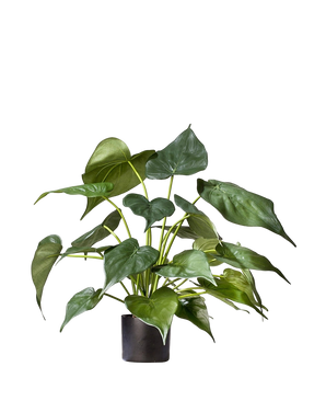 Artificial plant Alocasia 51 cm - Easyplants Artificial Plants & Flowers