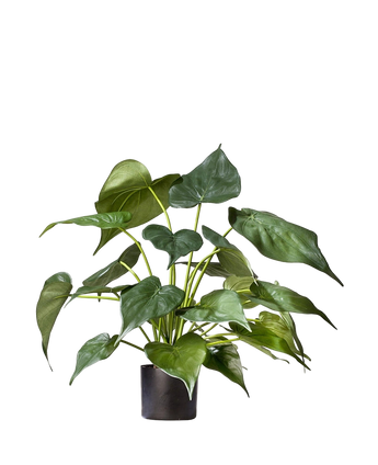 Artificial plant Alocasia 51 cm - Easyplants Artificial Plants & Flowers