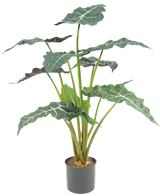 Artificial plant Alocasia 67 cm - Easyplants Artificial Plants & Flowers