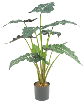 Artificial plant Alocasia 67 cm - Easyplants Artificial Plants & Flowers
