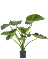 Artificial plant Alocasia Calioora 80 cm - Easyplants Artificial Plants & Flowers