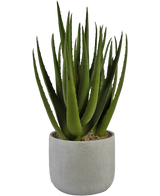 Artificial plant Aloe Vera 43 cm - Easyplants Artificial Plants & Flowers