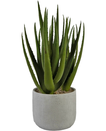 Artificial plant Aloe Vera 43 cm - Easyplants Artificial Plants & Flowers