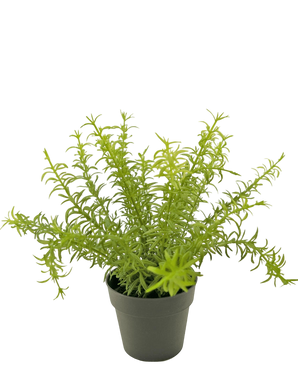 Artificial plant Anthurium 27 cm - Easyplants Artificial Plants & Flowers