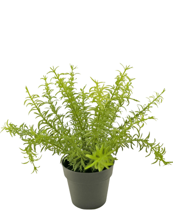 Artificial plant Anthurium 27 cm - Easyplants Artificial Plants & Flowers