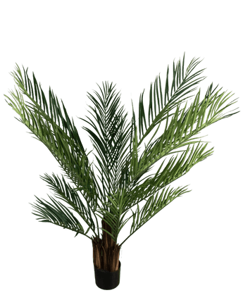 Artificial plant areca 150 cm - Easyplants Artificial Plants & Flowers
