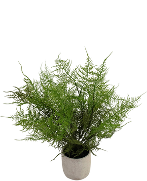 Artificial plant asparagus 43 cm in decorative pot - Easyplants Artificial Plants & Flowers