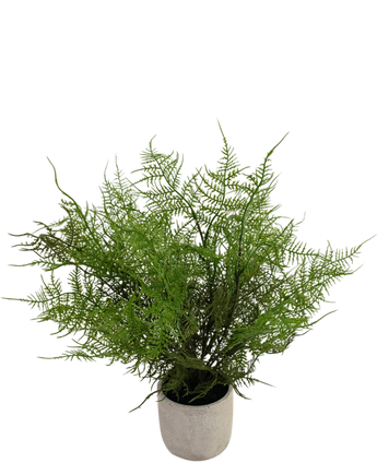 Artificial plant asparagus 43 cm in decorative pot - Easyplants Artificial Plants & Flowers