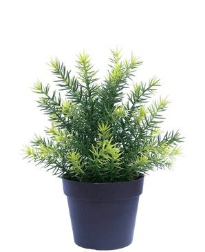 Artificial plant asparagus in pot 23 cm UV - Easyplants Artificial Plants & Flowers
