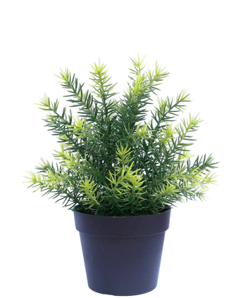 Artificial plant asparagus in pot 23 cm UV - Easyplants Artificial Plants & Flowers