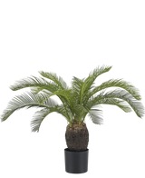 Artificial plant Baby Cycas Palm 60 cm - Easyplants Artificial Plants & Flowers
