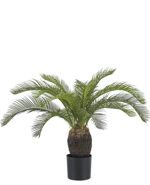 Artificial plant Baby Cycas Palm 60 cm - Easyplants Artificial Plants & Flowers