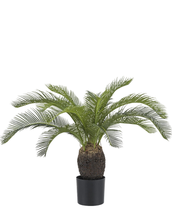 Artificial plant Baby Cycas Palm 60 cm - Easyplants Artificial Plants & Flowers