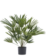 Artificial plant Baby Palm fan in pot 50 cm - Easyplants Artificial Plants & Flowers